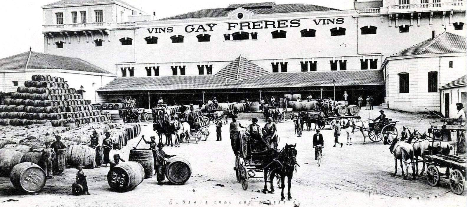585- Oran - Gambetta vins Gay2.jpg